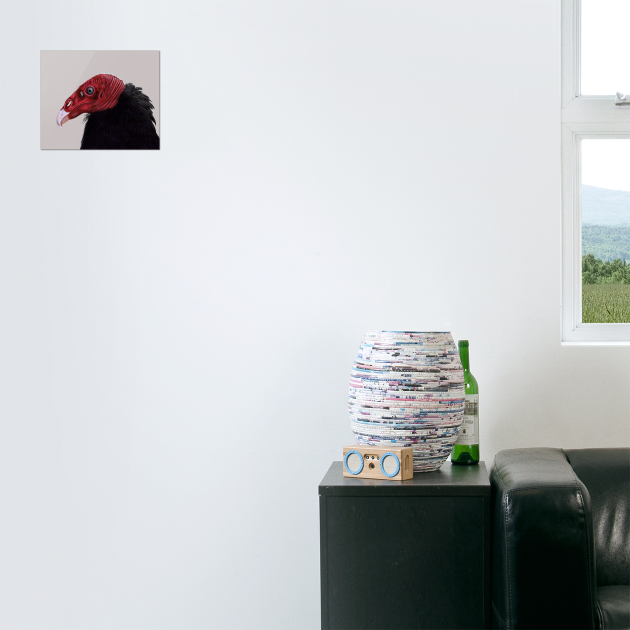 Illustrated Turkey Vulture by H. R. Sinclair